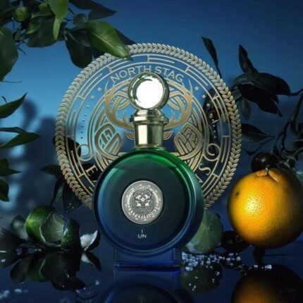 UN I EXPRESSIONS , NORTH STAG, 100 ML EDP, Paris Corner