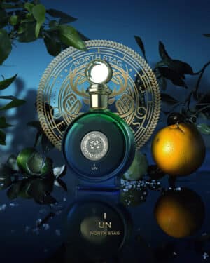 UN I EXPRESSIONS , NORTH STAG, 100 ML EDP, Paris Corner